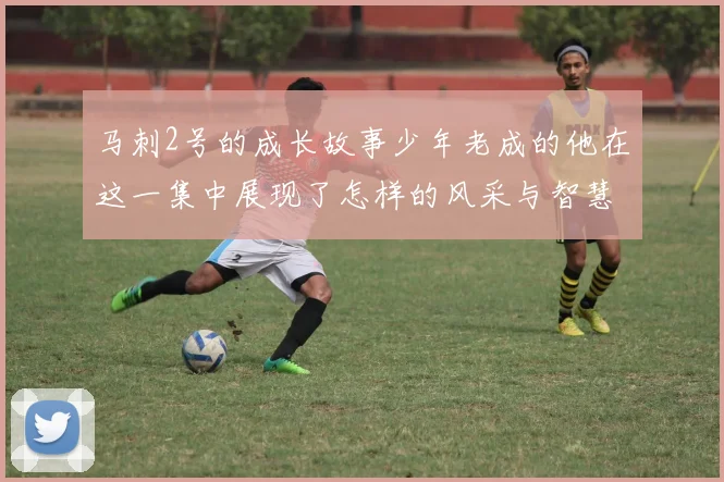 马刺2号的成长故事少年老成的他在这一集中展现了怎样的风采与智慧