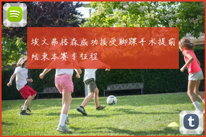 埃文弗格森成功接受脚踝手术提前结束本赛季征程