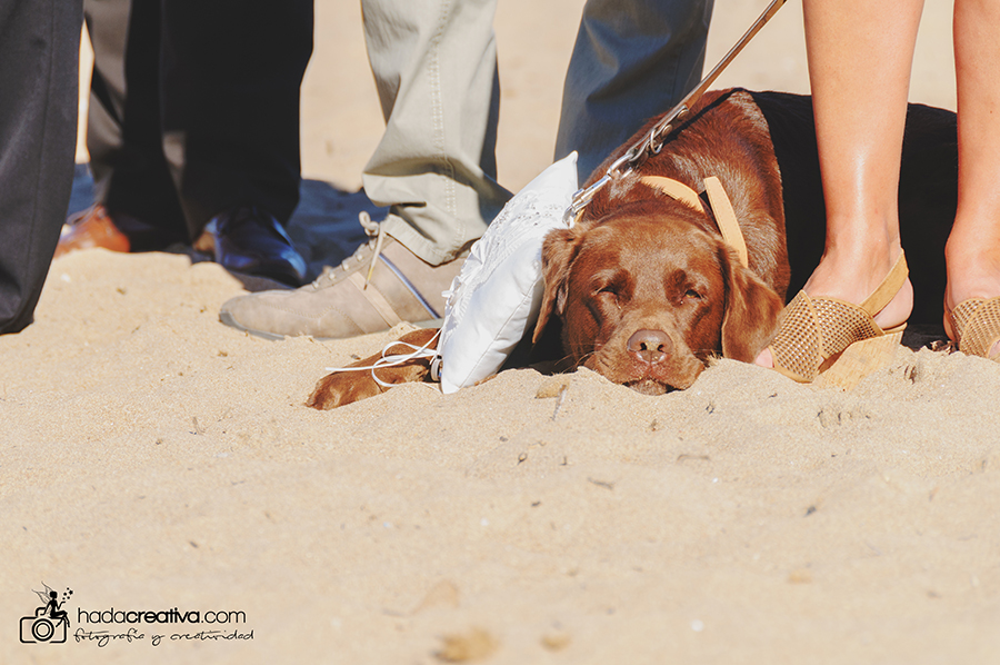 Wedding Photography Denia Javea Moraira Costa Blanca